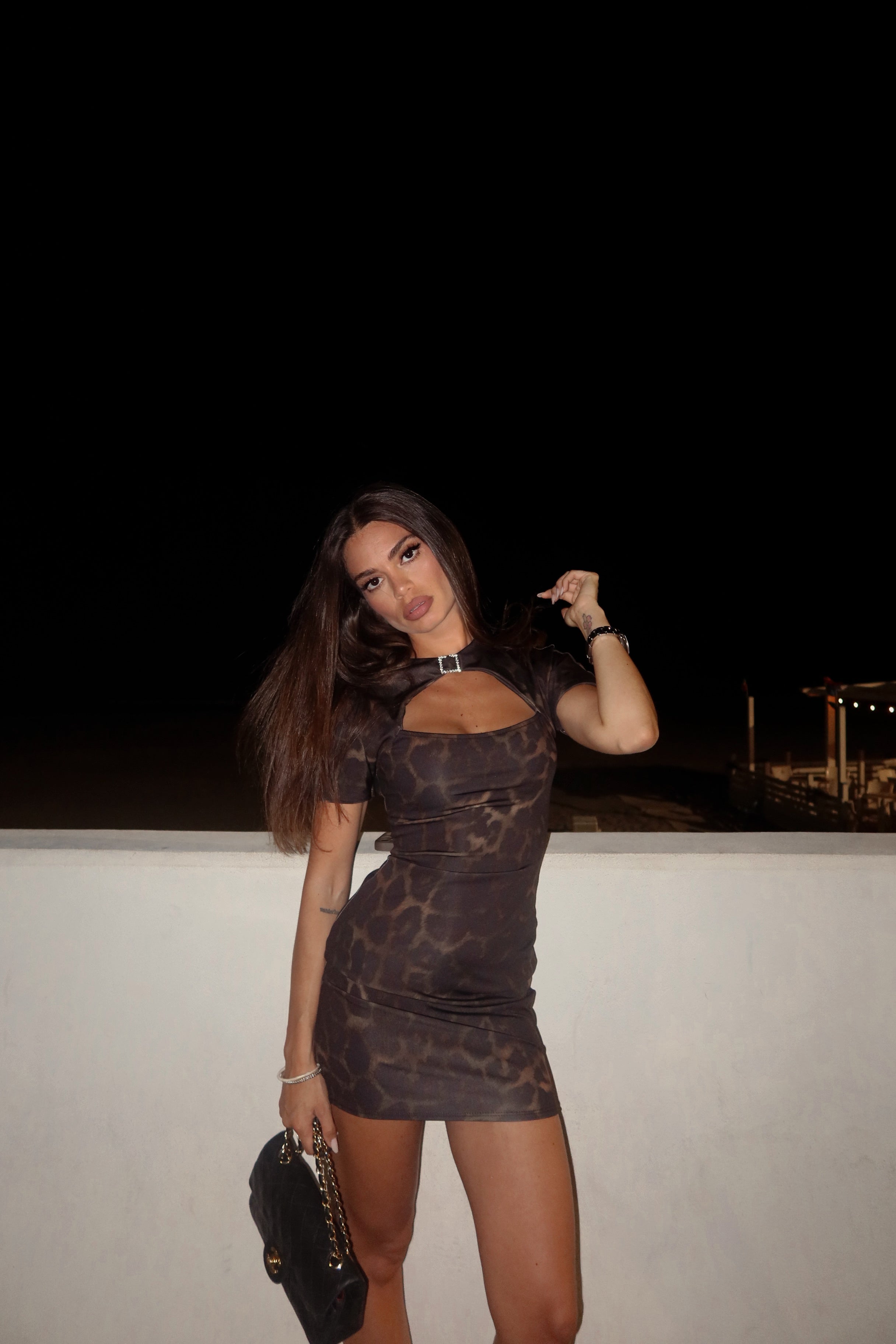 Leopard Mini Dress