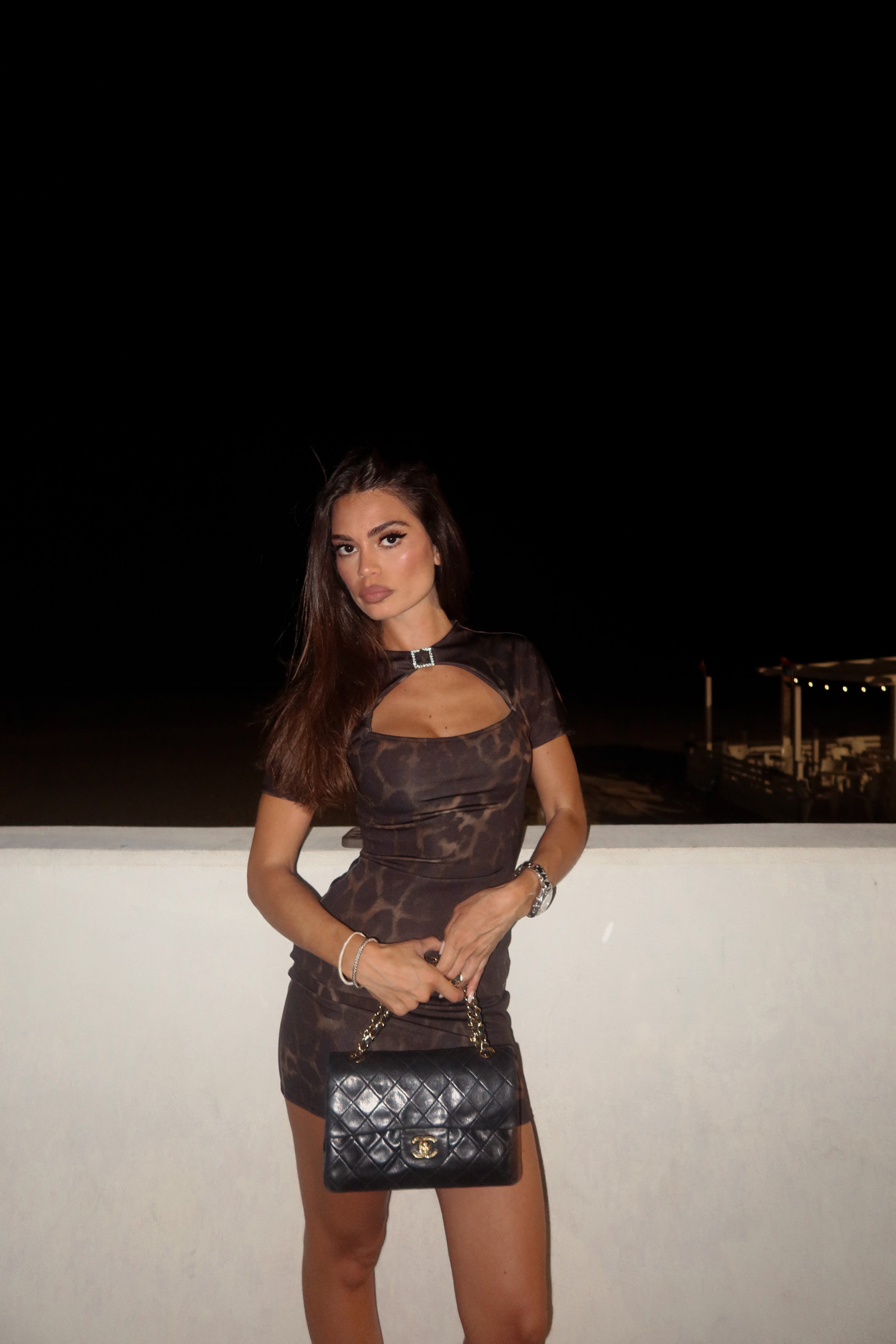 Leopard Mini Dress