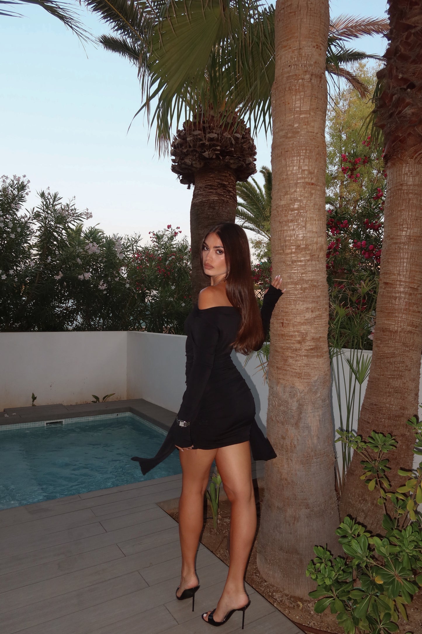 Rose Dress