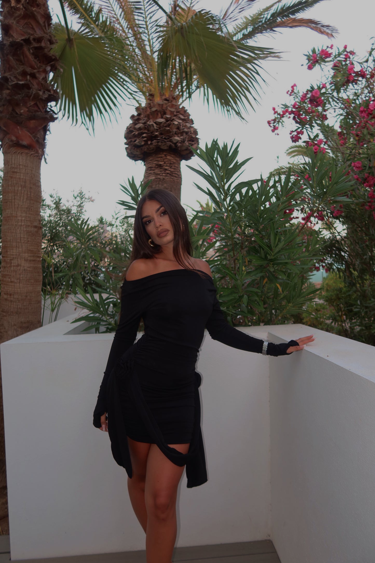 Rose Dress