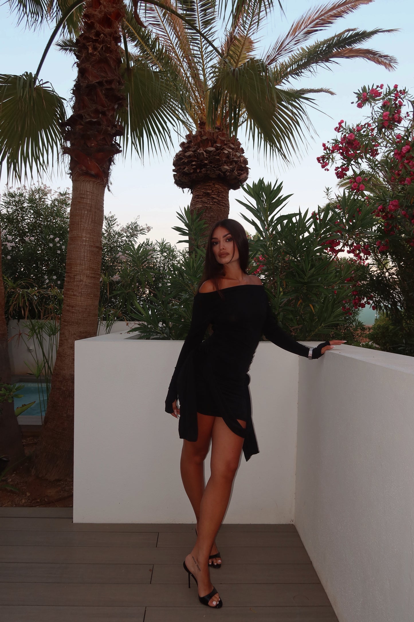 Rose Dress