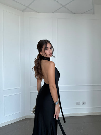 Elegant Dress