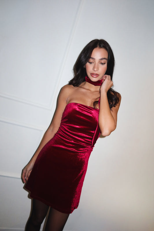 Velvet Mini Dress